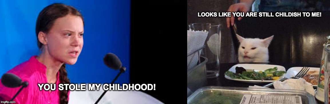 LOOKS LIKE YOU ARE STILL CHILDISH TO ME! YOU STOLE MY CHILDHOOD! | made w/ Imgflip meme maker