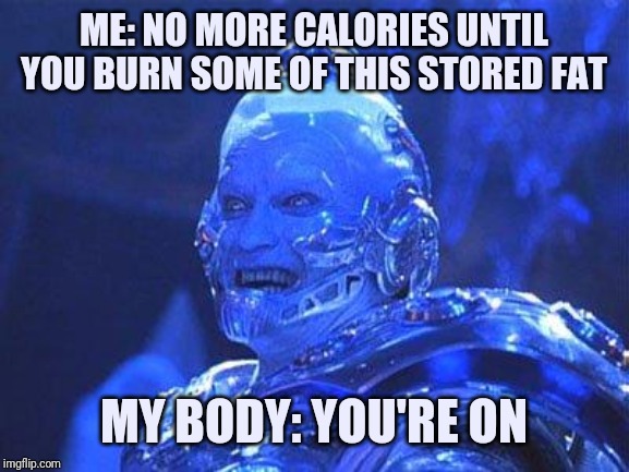 Mr Freeze | ME: NO MORE CALORIES UNTIL YOU BURN SOME OF THIS STORED FAT; MY BODY: YOU'RE ON | image tagged in mr freeze | made w/ Imgflip meme maker