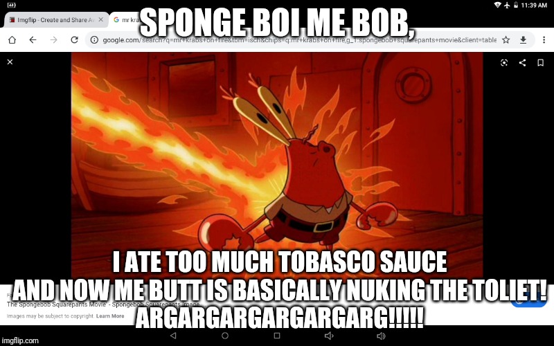 Don't Let Spongebob Try This At Home, Squidward (or he'll end up like your idiotic boss) | SPONGE BOI ME BOB, I ATE TOO MUCH TOBASCO SAUCE AND NOW ME BUTT IS BASICALLY NUKING THE TOLIET!
ARGARGARGARGARGARG!!!!! | image tagged in mr krabs' ass on fire | made w/ Imgflip meme maker