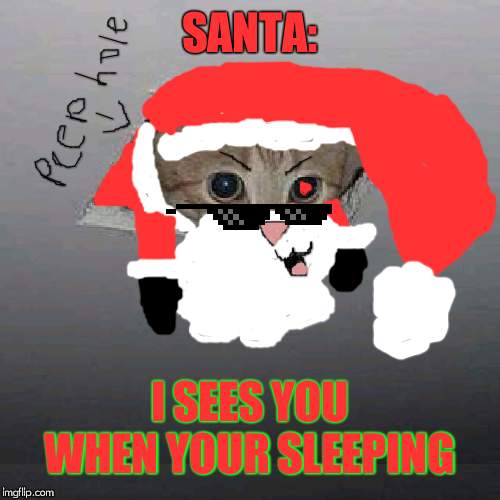 Ceiling Cat Meme | SANTA:; I SEES YOU WHEN YOUR SLEEPING | image tagged in memes,ceiling cat | made w/ Imgflip meme maker