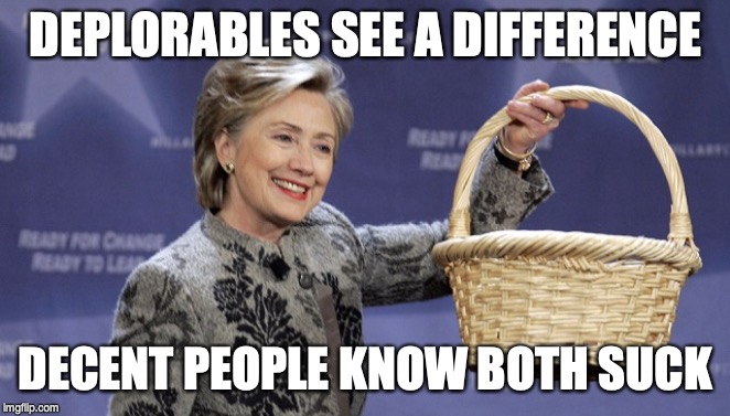 Basket of Deplorables | DEPLORABLES SEE A DIFFERENCE DECENT PEOPLE KNOW BOTH SUCK | image tagged in basket of deplorables | made w/ Imgflip meme maker