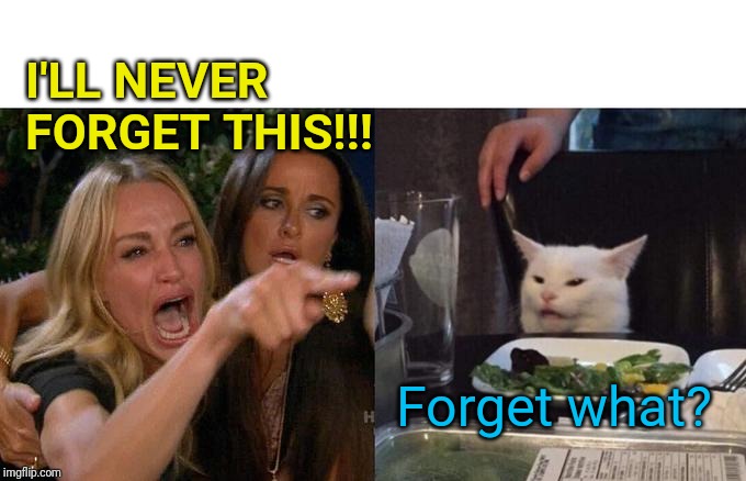 Woman Yelling At Cat Meme | I'LL NEVER FORGET THIS!!! Forget what? | image tagged in memes,woman yelling at cat | made w/ Imgflip meme maker