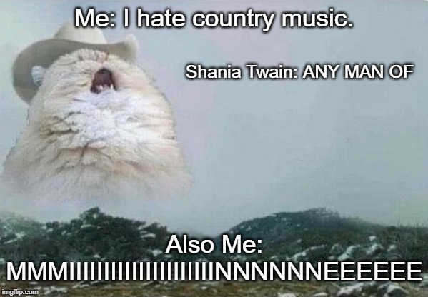 Country Cat | Me: I hate country music. Shania Twain: ANY MAN OF; Also Me: MMMIIIIIIIIIIIIIIIIIIIIINNNNNNEEEEEE | image tagged in country cat | made w/ Imgflip meme maker