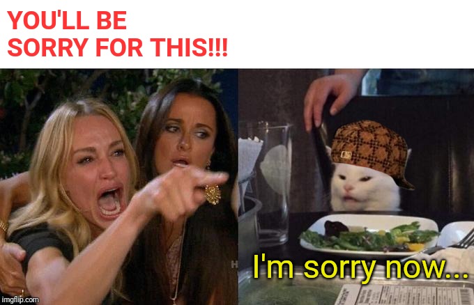 Woman Yelling At Cat | YOU'LL BE SORRY FOR THIS!!! I'm sorry now... | image tagged in memes,woman yelling at cat | made w/ Imgflip meme maker