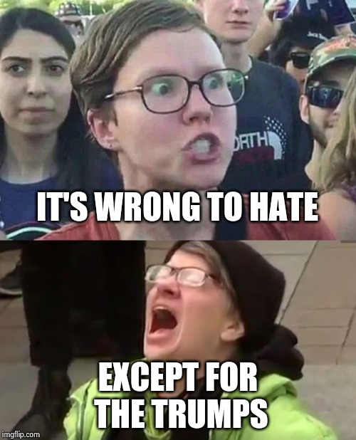 IT'S WRONG TO HATE EXCEPT FOR
 THE TRUMPS | image tagged in triggered liberal,screaming liberal | made w/ Imgflip meme maker