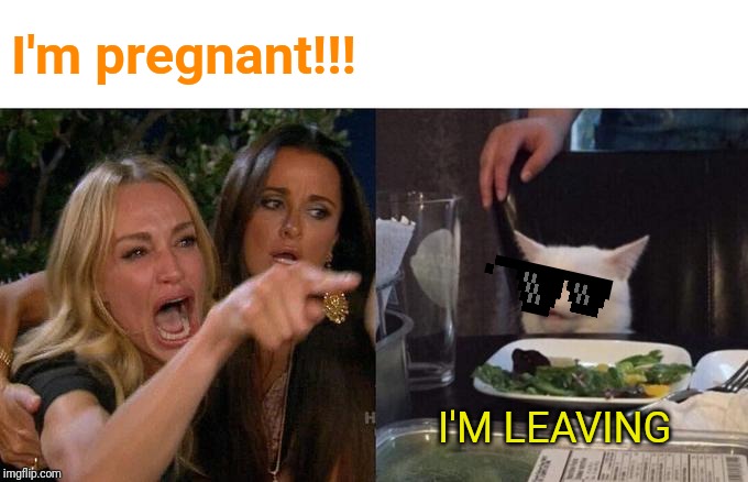 Woman Yelling At Cat | I'm pregnant!!! I'M LEAVING | image tagged in memes,woman yelling at cat | made w/ Imgflip meme maker