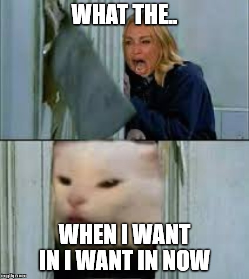 kitty wants in | WHAT THE.. WHEN I WANT IN I WANT IN NOW | image tagged in woman yelling at cat | made w/ Imgflip meme maker