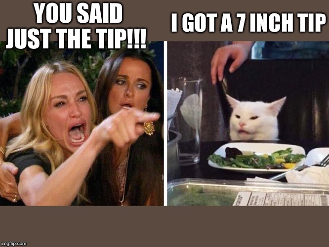 Smudge the cat | YOU SAID JUST THE TIP!!! I GOT A 7 INCH TIP | image tagged in smudge the cat | made w/ Imgflip meme maker