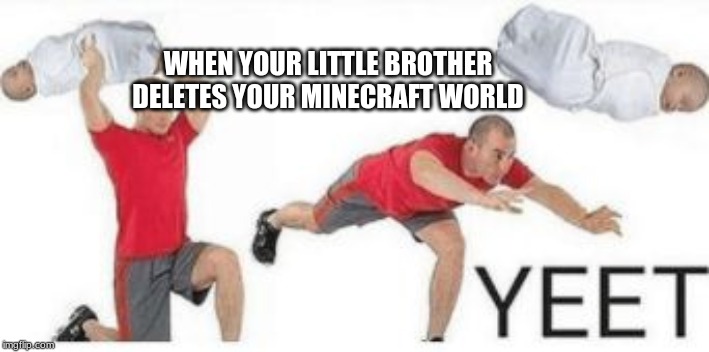 yeet | WHEN YOUR LITTLE BROTHER DELETES YOUR MINECRAFT WORLD | image tagged in yeet baby | made w/ Imgflip meme maker