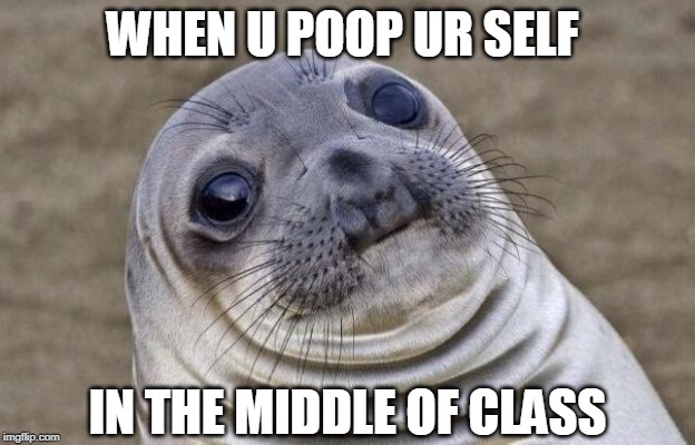 Awkward Moment Sealion | WHEN U POOP UR SELF; IN THE MIDDLE OF CLASS | image tagged in memes,awkward moment sealion | made w/ Imgflip meme maker