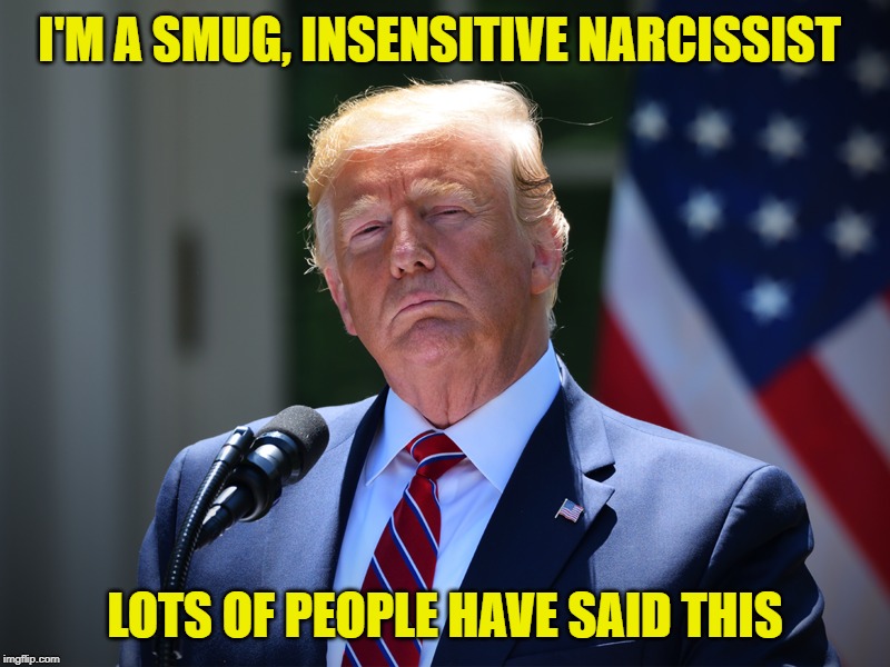 Donald Trump - Smug, Insensitive Narcissist | I'M A SMUG, INSENSITIVE NARCISSIST; LOTS OF PEOPLE HAVE SAID THIS | image tagged in donald trump,smug,narcissist | made w/ Imgflip meme maker