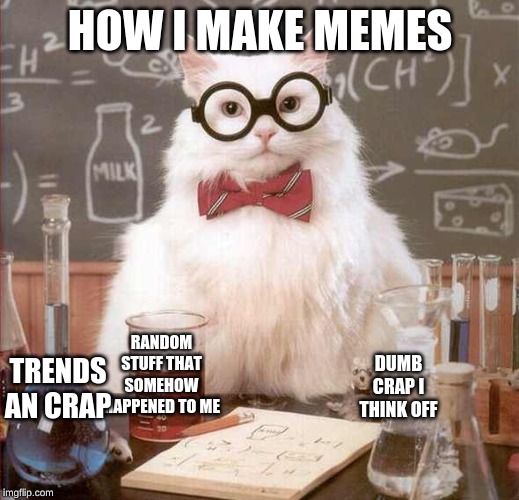 cat scientist | HOW I MAKE MEMES RANDOM STUFF THAT SOMEHOW HAPPENED TO ME DUMB CRAP I THINK OFF TRENDS AN CRAP | image tagged in cat scientist | made w/ Imgflip meme maker