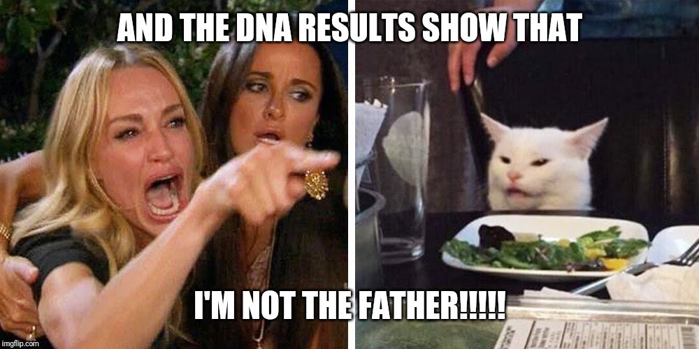Smudge the cat | AND THE DNA RESULTS SHOW THAT; I'M NOT THE FATHER!!!!! | image tagged in smudge the cat | made w/ Imgflip meme maker
