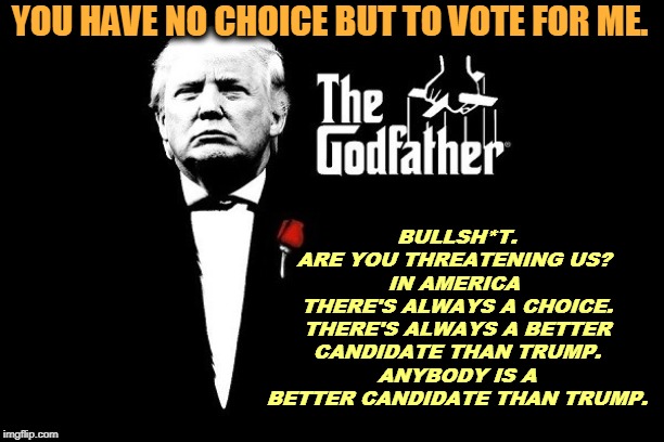 Our Fearless Leader Has Spoken | YOU HAVE NO CHOICE BUT TO VOTE FOR ME. BULLSH*T.
ARE YOU THREATENING US? 
IN AMERICA 
THERE'S ALWAYS A CHOICE.
THERE'S ALWAYS A BETTER CANDIDATE THAN TRUMP.
ANYBODY IS A BETTER CANDIDATE THAN TRUMP. | image tagged in donald trump,dictator,tyranny,caudillo,election 2020,fearless leader | made w/ Imgflip meme maker