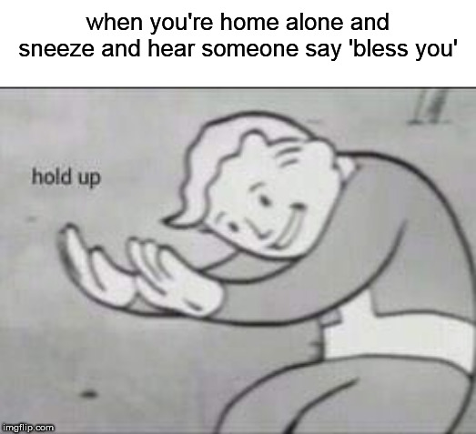 Fallout Hold Up | when you're home alone and sneeze and hear someone say 'bless you' | image tagged in fallout hold up | made w/ Imgflip meme maker