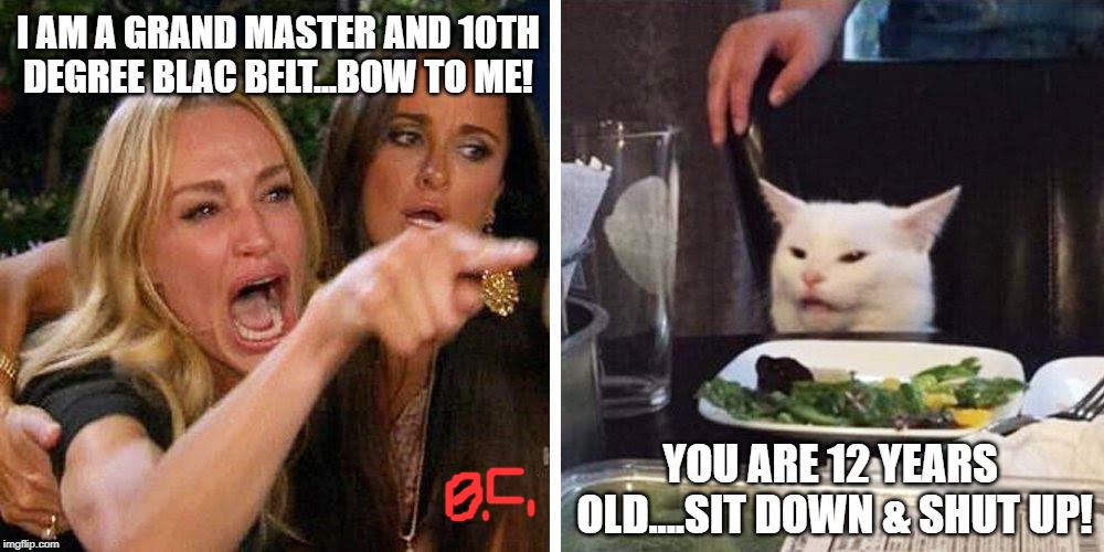 Smudge the cat | I AM A GRAND MASTER AND 10TH DEGREE BLAC BELT...BOW TO ME! YOU ARE 12 YEARS  OLD....SIT DOWN & SHUT UP! | image tagged in smudge the cat | made w/ Imgflip meme maker