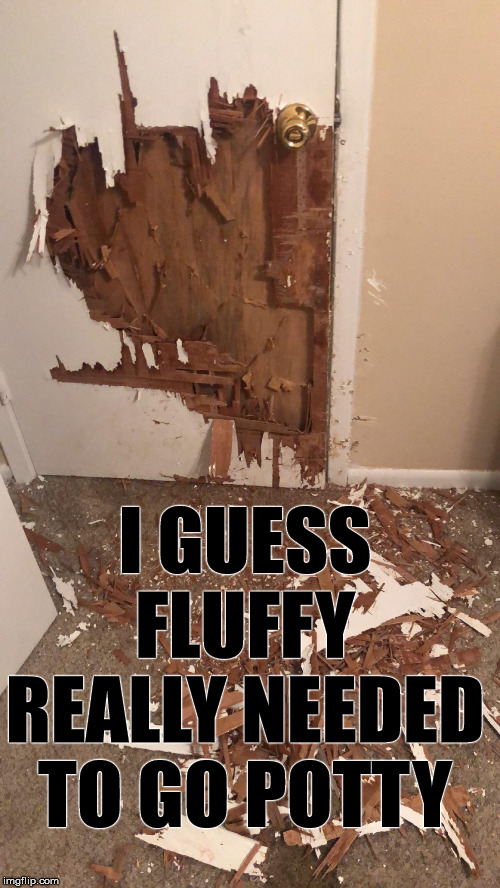 When they got to go they really got to go. | I GUESS FLUFFY REALLY NEEDED TO GO POTTY | image tagged in potty,dogs | made w/ Imgflip meme maker