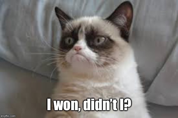 Grumpy cat | I won, didn’t I? | image tagged in grumpy cat | made w/ Imgflip meme maker