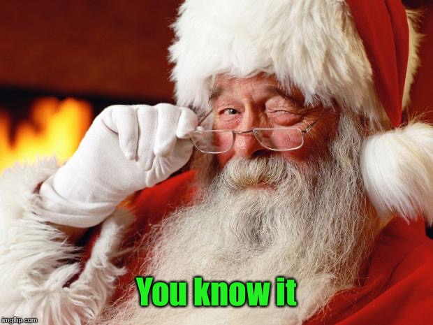 santa | You know it | image tagged in santa | made w/ Imgflip meme maker