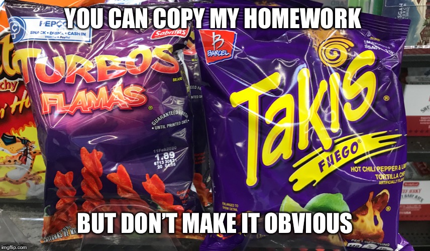 ITS A FAKE | YOU CAN COPY MY HOMEWORK; BUT DON’T MAKE IT OBVIOUS | image tagged in copycat | made w/ Imgflip meme maker
