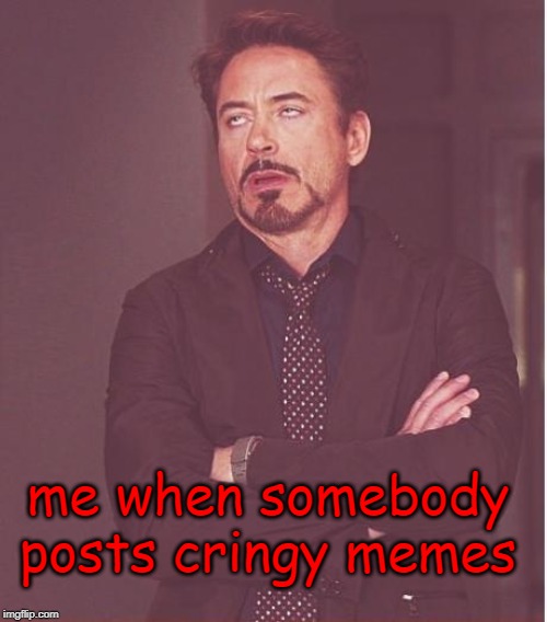 Face You Make Robert Downey Jr | me when somebody posts cringy memes | image tagged in memes,face you make robert downey jr | made w/ Imgflip meme maker