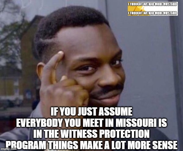 Missouri | IF YOU JUST ASSUME EVERYBODY YOU MEET IN MISSOURI IS IN THE WITNESS PROTECTION PROGRAM THINGS MAKE A LOT MORE SENSE | image tagged in thinker good idea | made w/ Imgflip meme maker