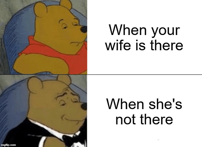 Tuxedo Winnie The Pooh Meme | When your wife is there; When she's not there | image tagged in memes,tuxedo winnie the pooh | made w/ Imgflip meme maker