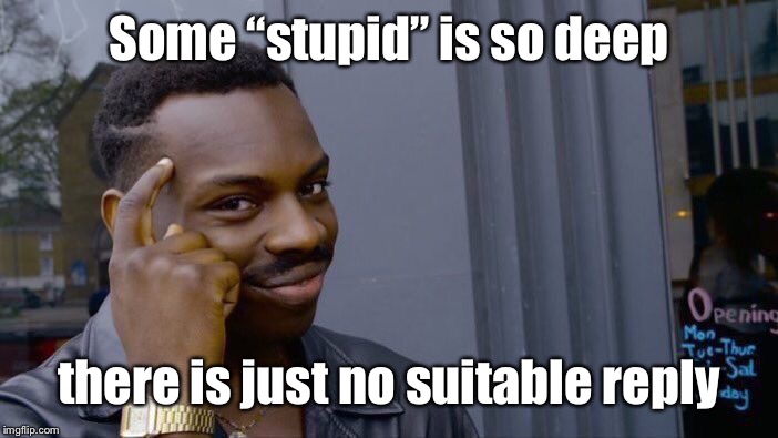 Roll Safe Think About It Meme | Some “stupid” is so deep there is just no suitable reply | image tagged in memes,roll safe think about it | made w/ Imgflip meme maker