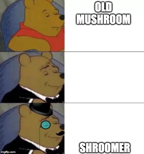 whinny the poo | OLD MUSHROOM; SHROOMER | image tagged in whinny the poo | made w/ Imgflip meme maker