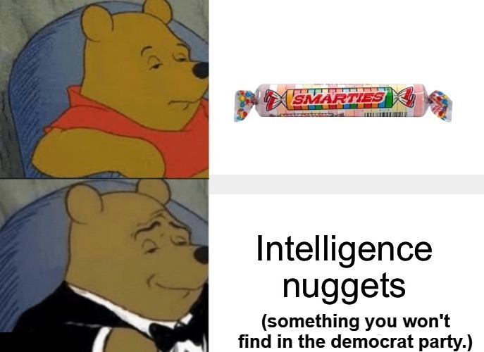 Tuxedo Winnie the Pooh | image tagged in intelligence,artificial intelligence,stupid democrats,stupid liberals,liberal logic,tuxedo winnie the pooh | made w/ Imgflip meme maker