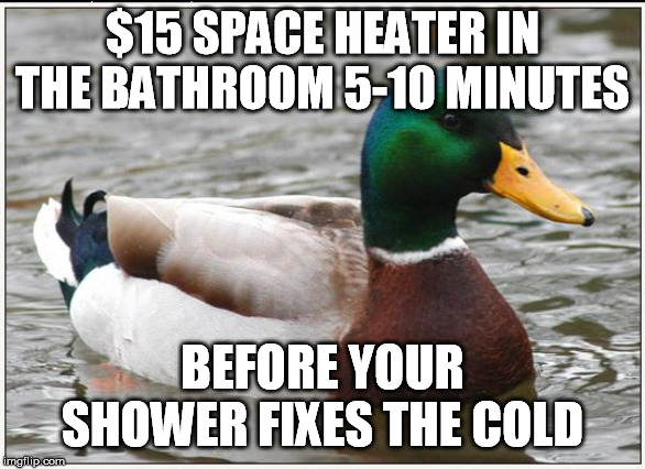 Actual Advice Mallard Meme | $15 SPACE HEATER IN THE BATHROOM 5-10 MINUTES BEFORE YOUR SHOWER FIXES THE COLD | image tagged in memes,actual advice mallard | made w/ Imgflip meme maker