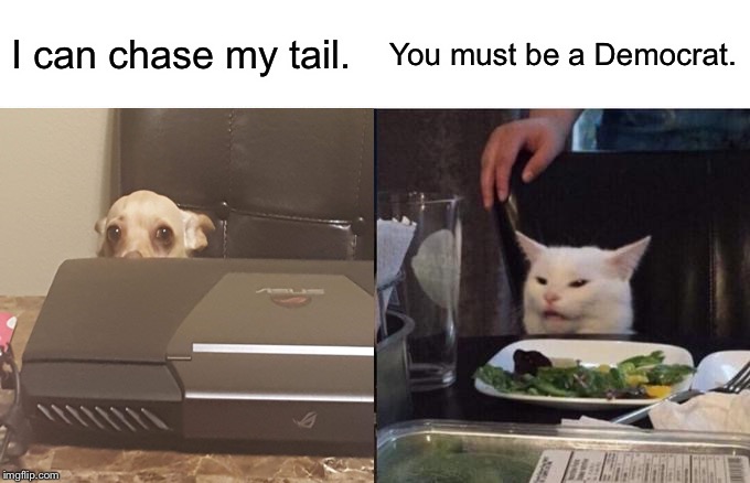 Woman Yelling At Cat | I can chase my tail. You must be a Democrat. | image tagged in memes,woman yelling at cat | made w/ Imgflip meme maker
