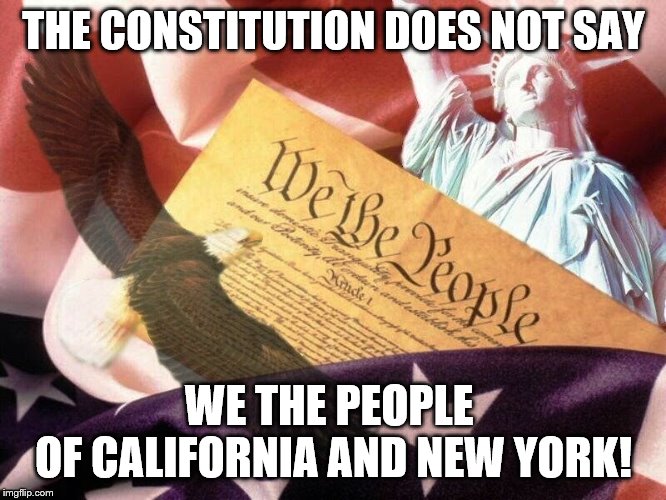 This is why we have the electoral college | THE CONSTITUTION DOES NOT SAY; WE THE PEOPLE 
OF CALIFORNIA AND NEW YORK! | image tagged in we the people,memes,politics | made w/ Imgflip meme maker