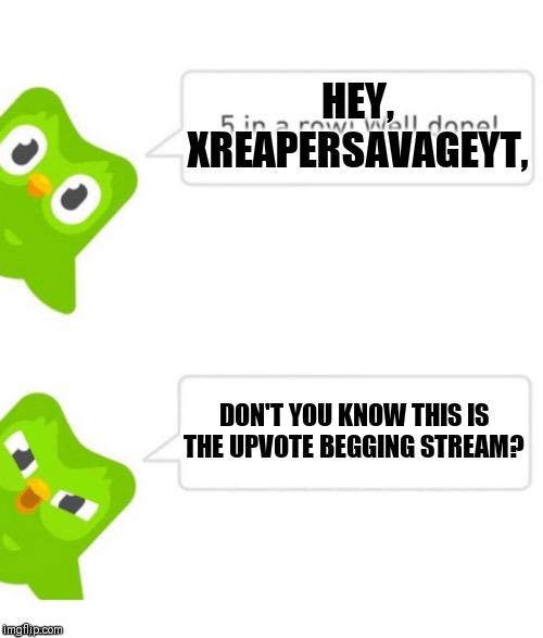 Duo gets mad | HEY, XREAPERSAVAGEYT, DON'T YOU KNOW THIS IS THE UPVOTE BEGGING STREAM? | image tagged in duo gets mad | made w/ Imgflip meme maker