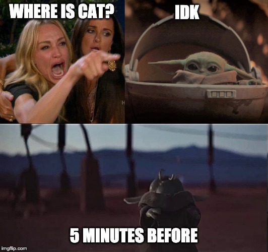 IDK; WHERE IS CAT? 5 MINUTES BEFORE | image tagged in woman yelling at baby yoda,eat,idk,where is cat | made w/ Imgflip meme maker