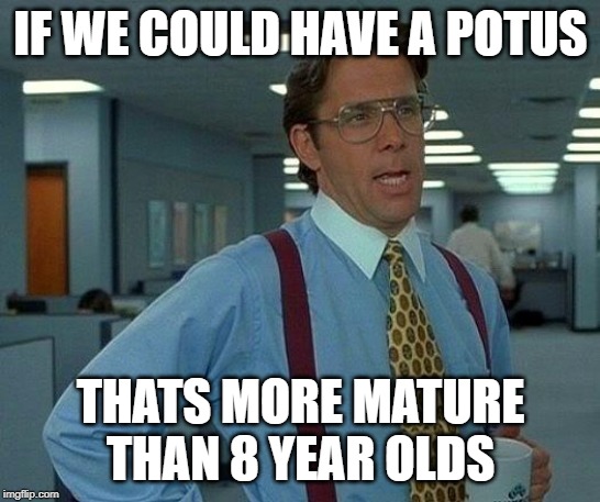 That Would Be Great Meme | IF WE COULD HAVE A POTUS THATS MORE MATURE THAN 8 YEAR OLDS | image tagged in memes,that would be great | made w/ Imgflip meme maker