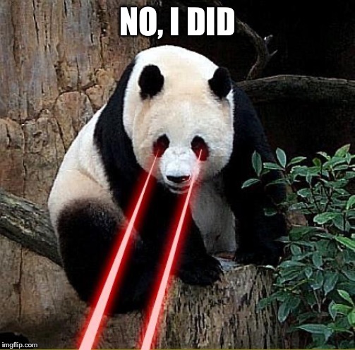 Laser panda | NO, I DID | image tagged in laser panda | made w/ Imgflip meme maker