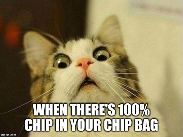 Scared Cat Meme | WHEN THERE'S 100% CHIP IN YOUR CHIP BAG | image tagged in memes,scared cat | made w/ Imgflip meme maker
