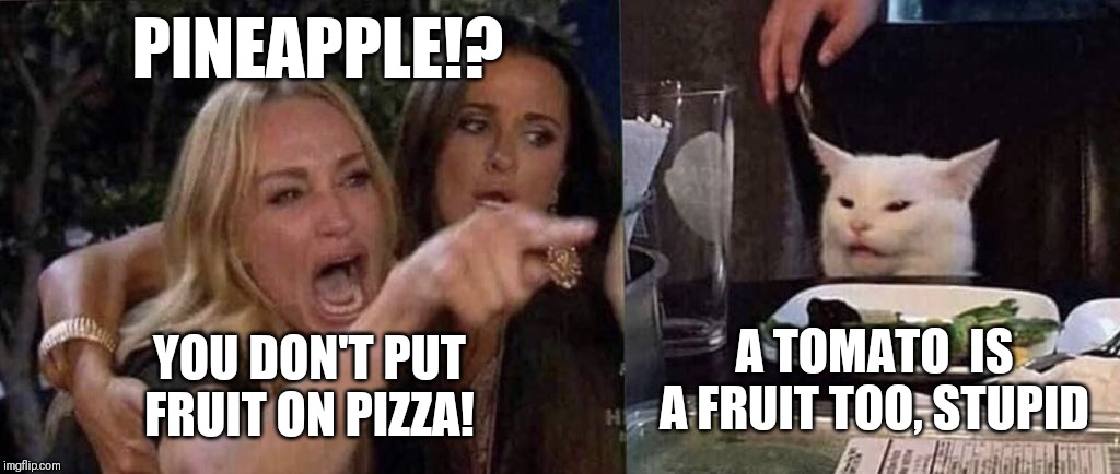 woman yelling at cat | PINEAPPLE!? A TOMATO  IS A FRUIT TOO, STUPID; YOU DON'T PUT FRUIT ON PIZZA! | image tagged in woman yelling at cat | made w/ Imgflip meme maker