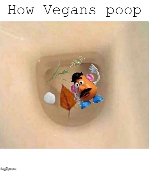 Vegan Poop | image tagged in vegan poop | made w/ Imgflip meme maker