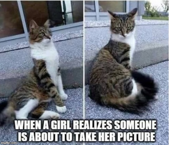 Looking pretty | image tagged in girl attributes,cat humor,true facts | made w/ Imgflip meme maker