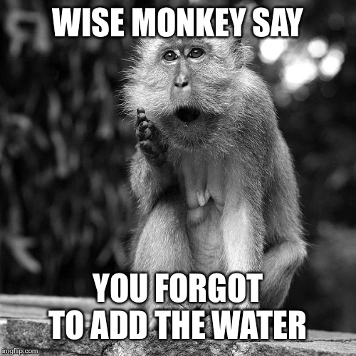 Wise Monkey | WISE MONKEY SAY YOU FORGOT TO ADD THE WATER | image tagged in wise monkey | made w/ Imgflip meme maker