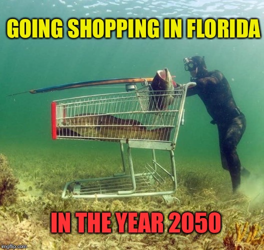 Go with the flow-rida man | GOING SHOPPING IN FLORIDA; IN THE YEAR 2050 | image tagged in climate change,global warming,meanwhile in florida,funny memes | made w/ Imgflip meme maker