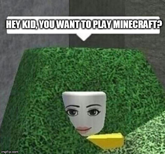 there is a glitch in the system | HEY KID, YOU WANT TO PLAY MINECRAFT? | image tagged in roblox,minecraft | made w/ Imgflip meme maker