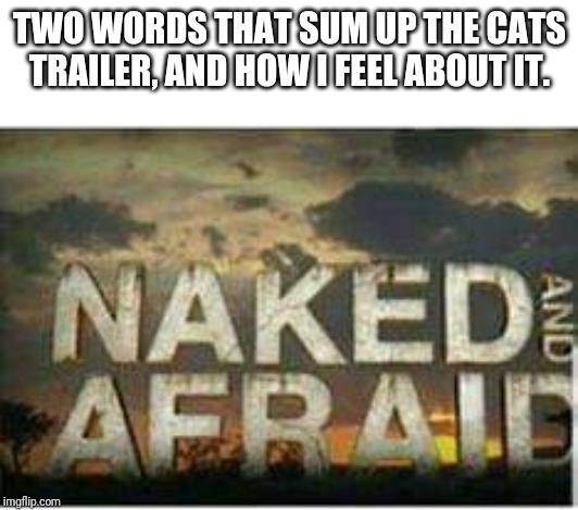 Naked and afraid | TWO WORDS THAT SUM UP THE CATS TRAILER, AND HOW I FEEL ABOUT IT. | image tagged in naked and afraid | made w/ Imgflip meme maker
