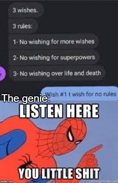 no rules | The genie: | image tagged in now listen here you little shit,funny,memes,genie,rules,listen | made w/ Imgflip meme maker