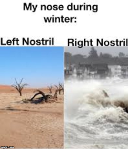 My nose during winter | image tagged in winter,nose | made w/ Imgflip meme maker