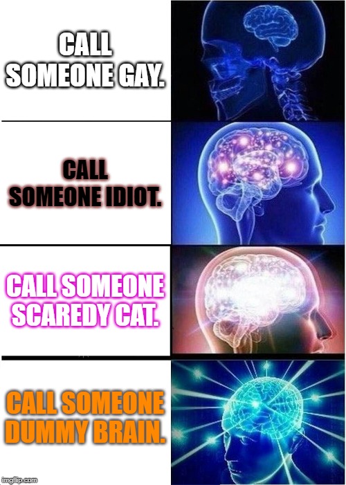 Expanding Brain | CALL SOMEONE GAY. CALL SOMEONE IDIOT. CALL SOMEONE SCAREDY CAT. CALL SOMEONE DUMMY BRAIN. | image tagged in memes,expanding brain | made w/ Imgflip meme maker
