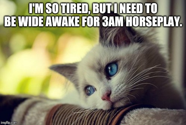 First World Problems Cat | I'M SO TIRED, BUT I NEED TO BE WIDE AWAKE FOR 3AM HORSEPLAY. | image tagged in memes,first world problems cat | made w/ Imgflip meme maker