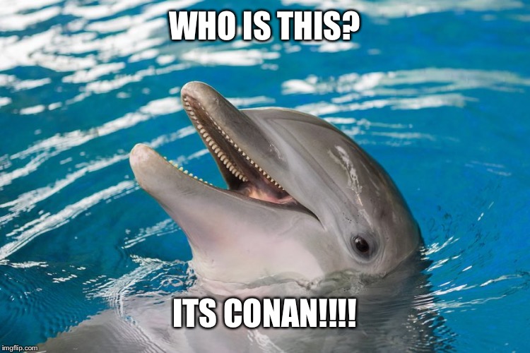DOLPHIN | WHO IS THIS? ITS CONAN!!!! | image tagged in dolphin | made w/ Imgflip meme maker